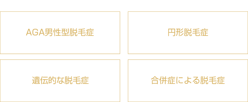 AGA男性型脱毛症、円形脱毛症、遺伝的な脱毛症、合併症による脱毛症